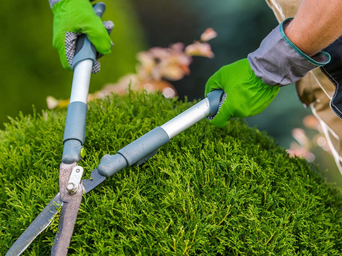 Espaces Verts